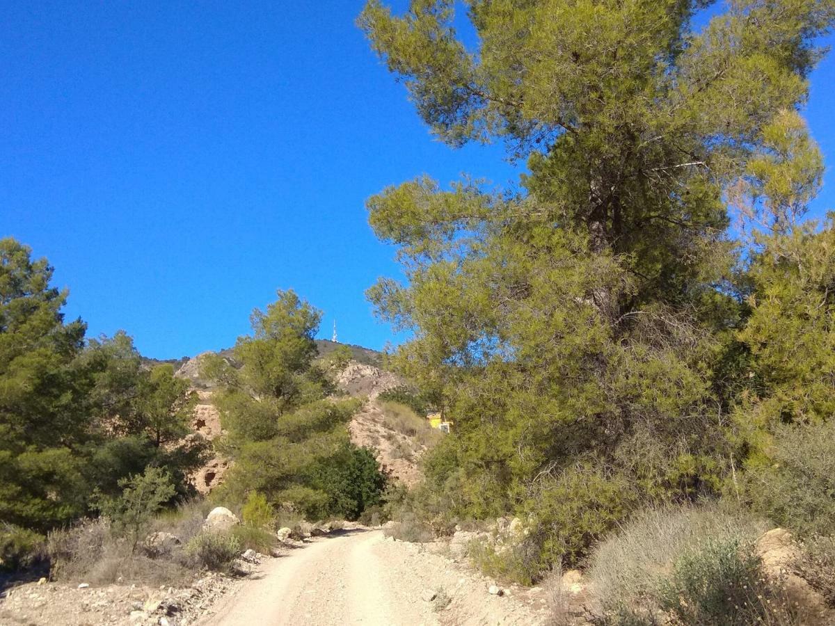 Finca El Carrascal ムルシア エクステリア 写真