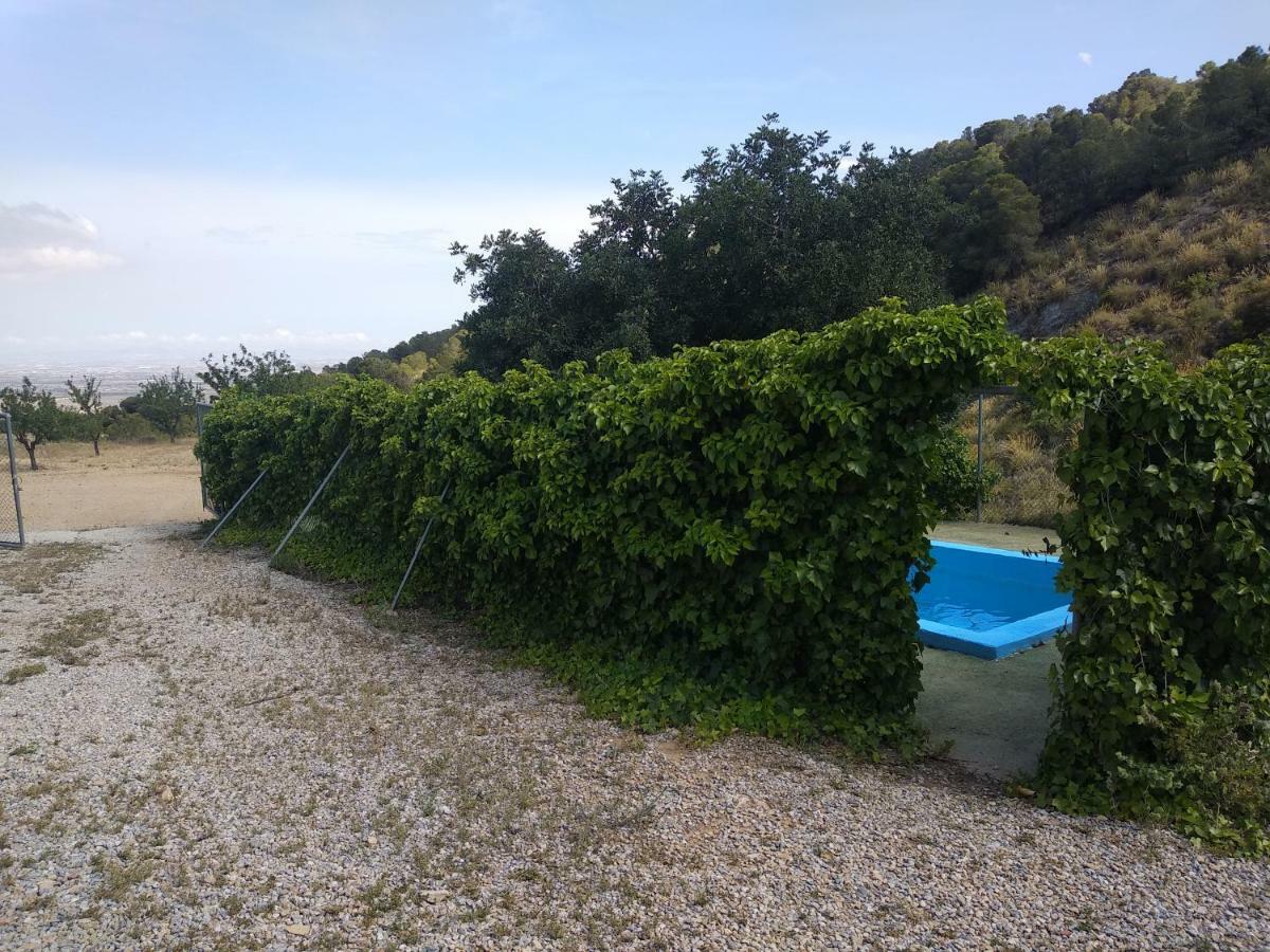 Finca El Carrascal ムルシア エクステリア 写真